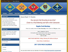Tablet Screenshot of davispack111.org